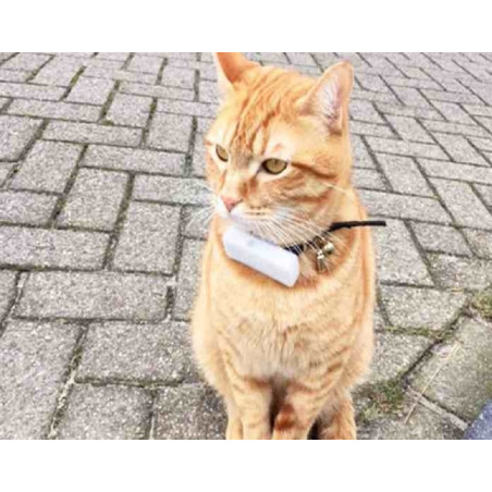 Tracker GPS Weenect chats, collier GPS pour localiser chat temps réel