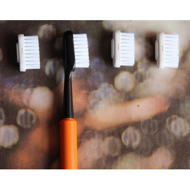 Kit brosse à dents réutilisable Caliquo