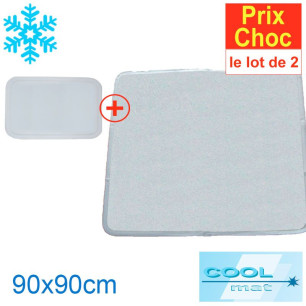 1 suroreiller 30x40 cm + 1 surmatelas 90x90cm
