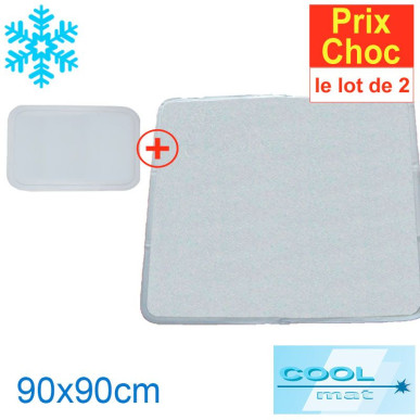 1 suroreiller + 1 surmatelas 90x90cm frais