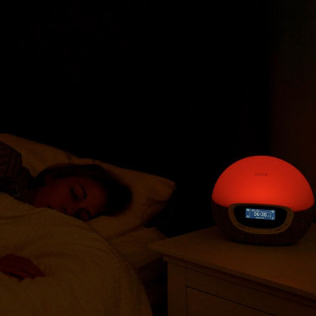 Simulateur d'aube Shine 300