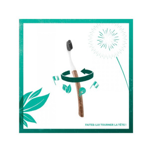 Brosse à dents tête interchangeable liège