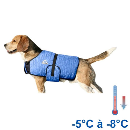 Manteau rafraîchissant chien bleu