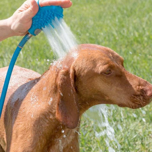 Brosse tuyau pour animaux