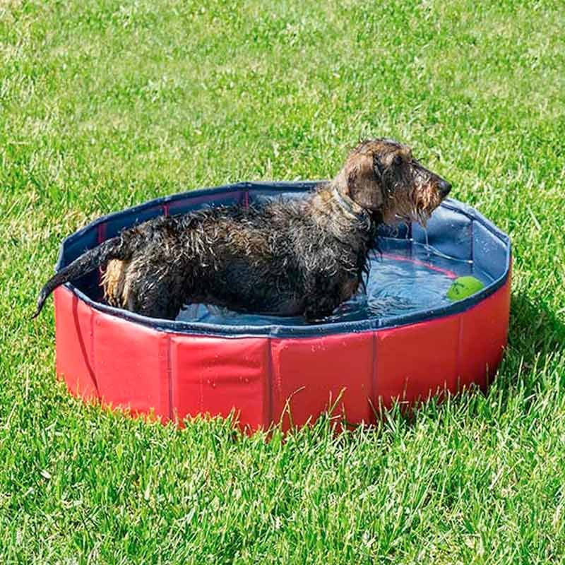 Piscine gonflable pour animaux Piscine gonflable pour animaux