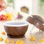 Mini humidificateur d'air Noyer