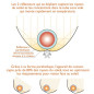 Four solaire Sunchef