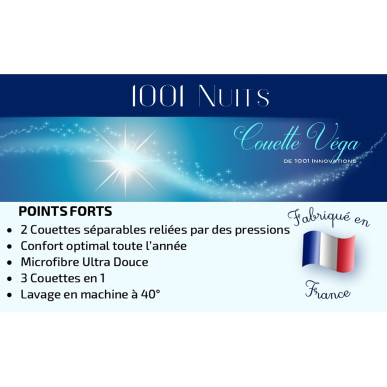 1001 Innovations couette 4 Saisons - 3 en 1 - 220x240 Véga