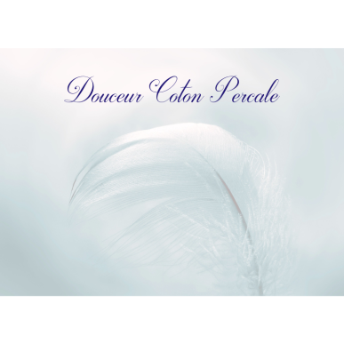 Oreiller Coton Percale 60x60, 91 fils, 550gr fibres creuses siliconnée soufflée, lot de 2, 1001 Innovations
