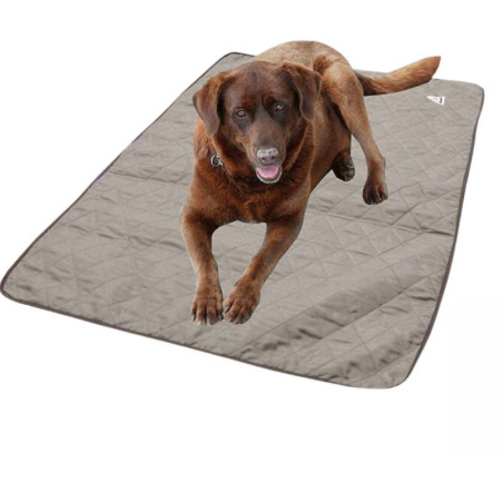 Tapis rafraîchissant pour chien contre la canicule, toutes tailles