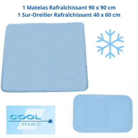 Lot 1 suroreiller 40x60 cm + 1 surmatelas 90x90cm
