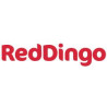 Red Dingo